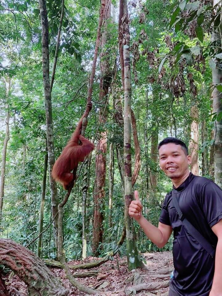 Pongo Guest House & Jungle Trekking Bukit Lawang Eksteriør billede