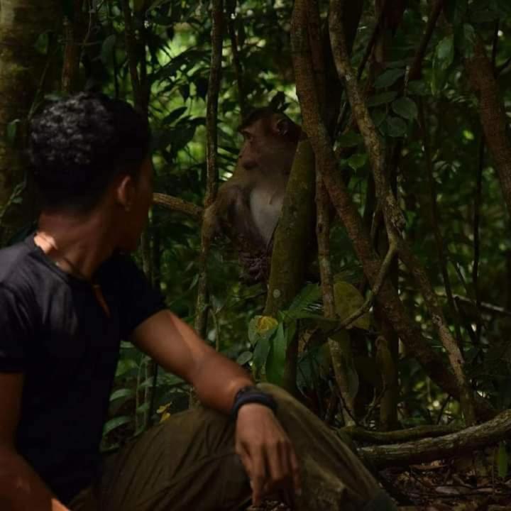 Pongo Guest House & Jungle Trekking Bukit Lawang Eksteriør billede