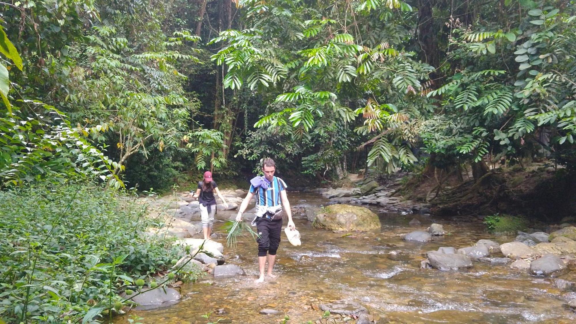 Pongo Guest House & Jungle Trekking Bukit Lawang Eksteriør billede